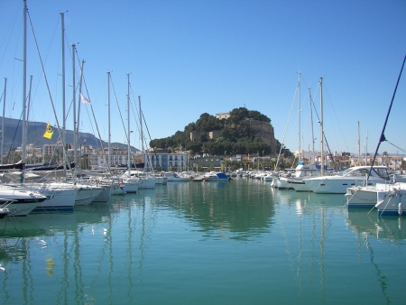 Image Image