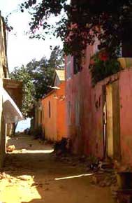 Image Image