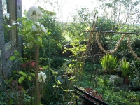 Image Image