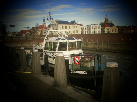 Image Image